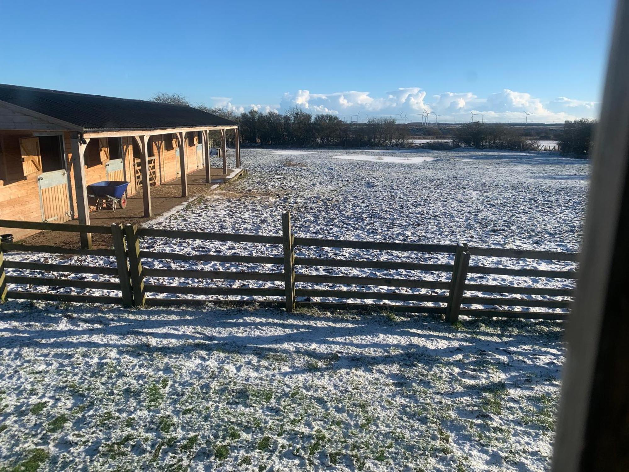 Owls Nest Log Cabin Morpeth Εξωτερικό φωτογραφία